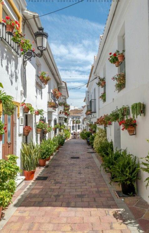 Trebol Apartamentos Benalmadena Arroyo De La Miel Εξωτερικό φωτογραφία